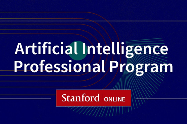 Artificial Intelligence Professional Program